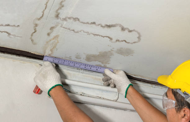 Reliable Sewage Cleanup contractor in Elmwood Park, NJ by Water Damage Irwin